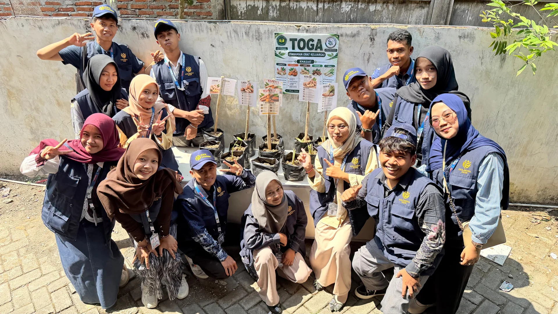 Budidaya TOGA (Tanaman Obat Keluarga)