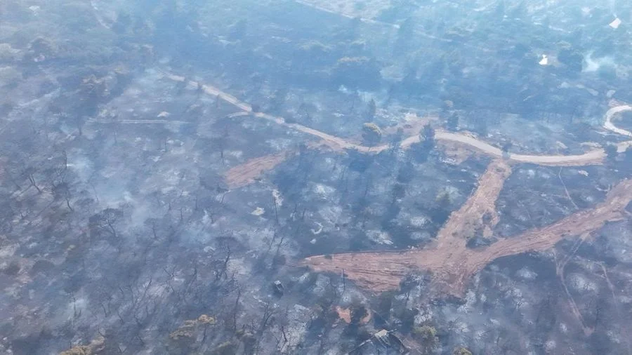 Para ilmuwan menilai perubahan iklim telah memperburuk kondisi tersebut dengan meningkatkan frekuensi serta intensitas gelombang panas yang memicu kebakaran hutan berskala besar