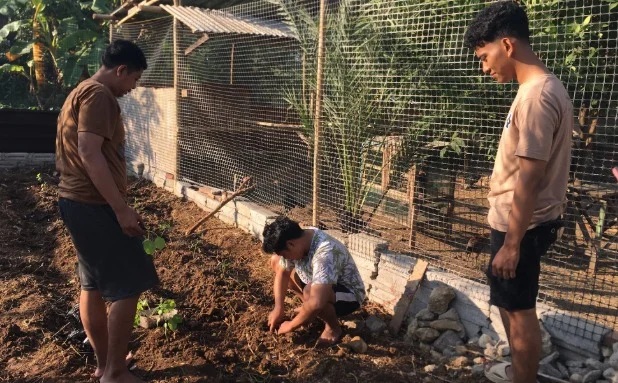 Proses penanaman pupuk