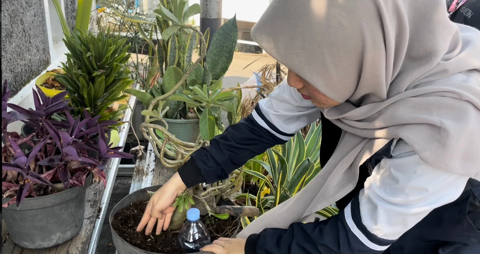 Proses pembuatan biopori dengan memanfaatkan botol plastik bekas