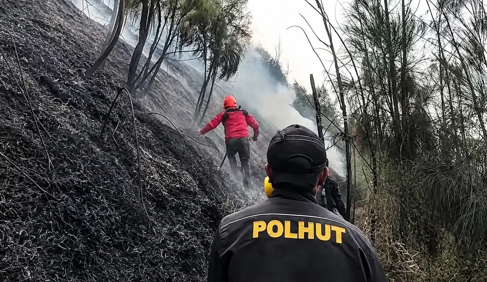 Polisi hutan bersama tim gabungan berupaya memadamkan titik api di lereng kawasan Bromo yang terbakar akibat karhutla.