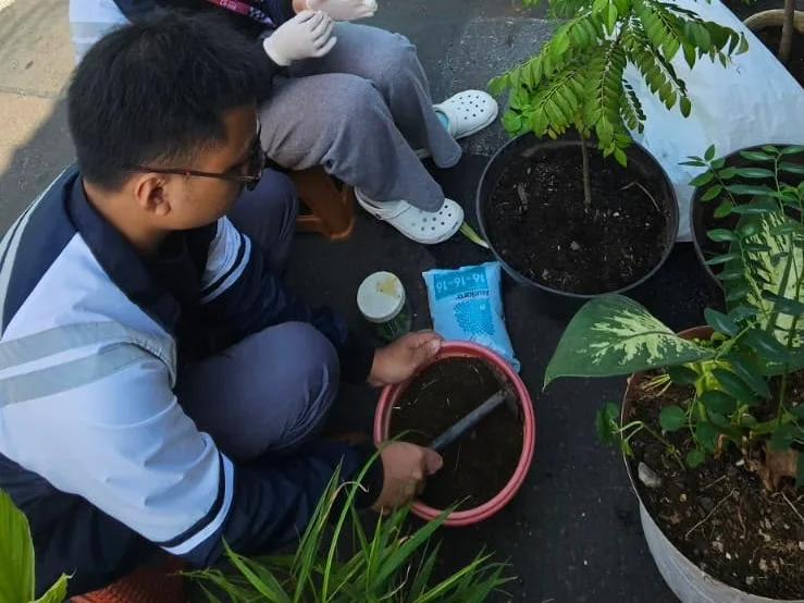 Proses Pembibitan