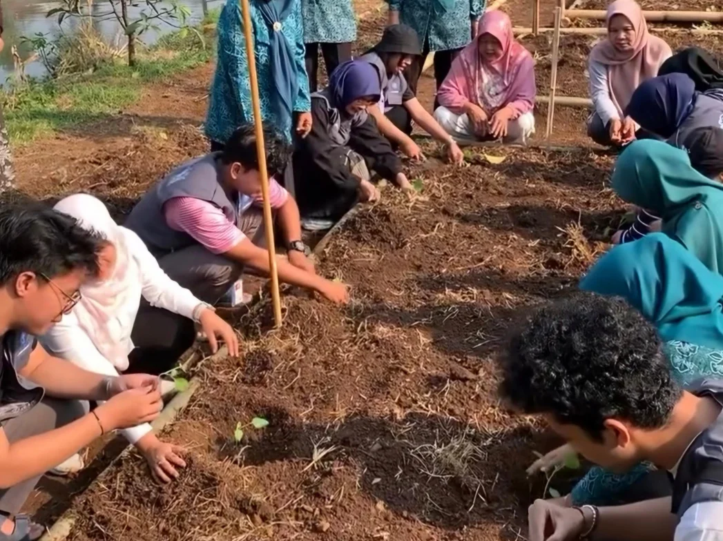 KKNT IPB Bersama KWT dan PKK Bubulak Dorong Ketahanan Pangan melalui Budidaya Sayuran