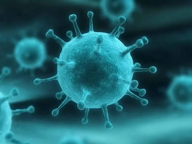 Influenza Merebak di Jawa Timur, Siapa Paling Berisiko?