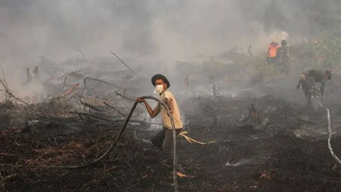 Kabut asap Karhutla memicu kesehatan masyarakat