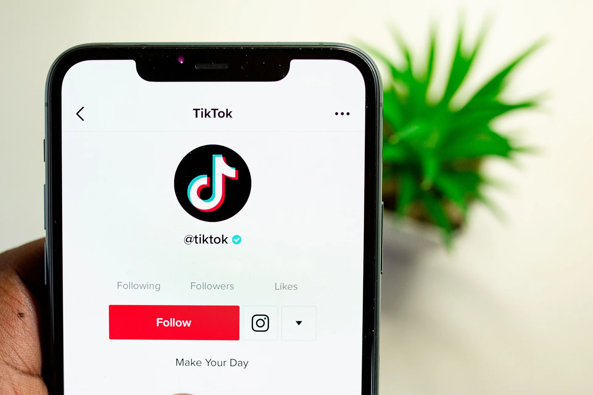 Platform Tiktok