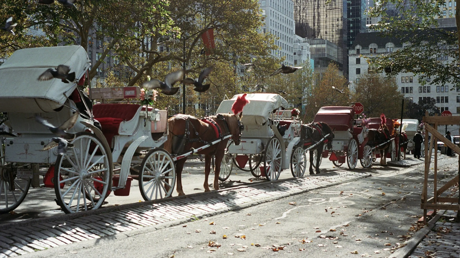 Kereta kuda di jalanan Kota New York