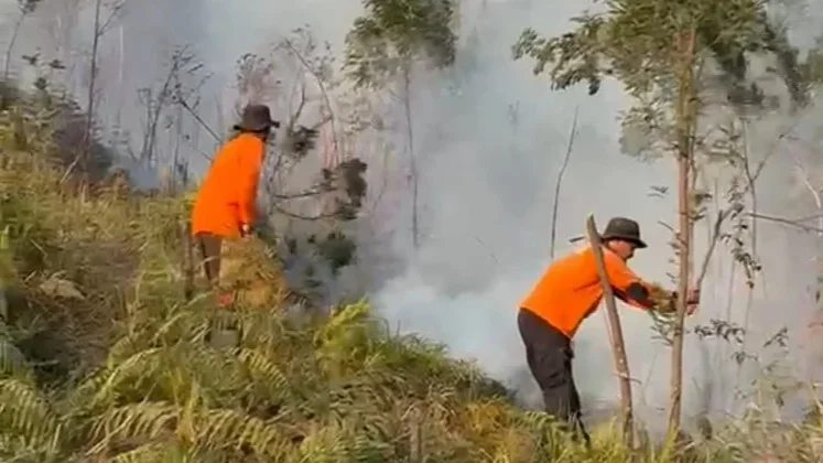 Upaya pemadaman kebakaran di Lereng Gunung Lawu