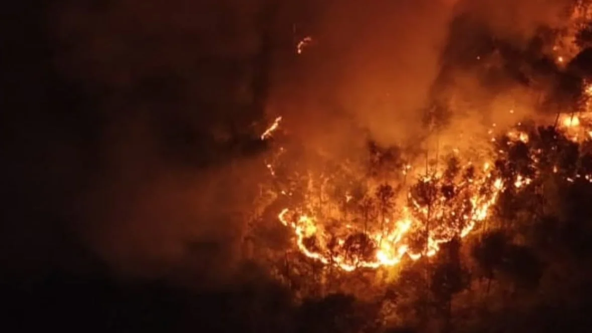 Gunung Ciremai Kembali Terbakar, Petugas dan Warga Bergerak ke Lokasi
