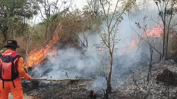 Karhutla di Gunung Ciremai Belum Padam, Petugas Siaga